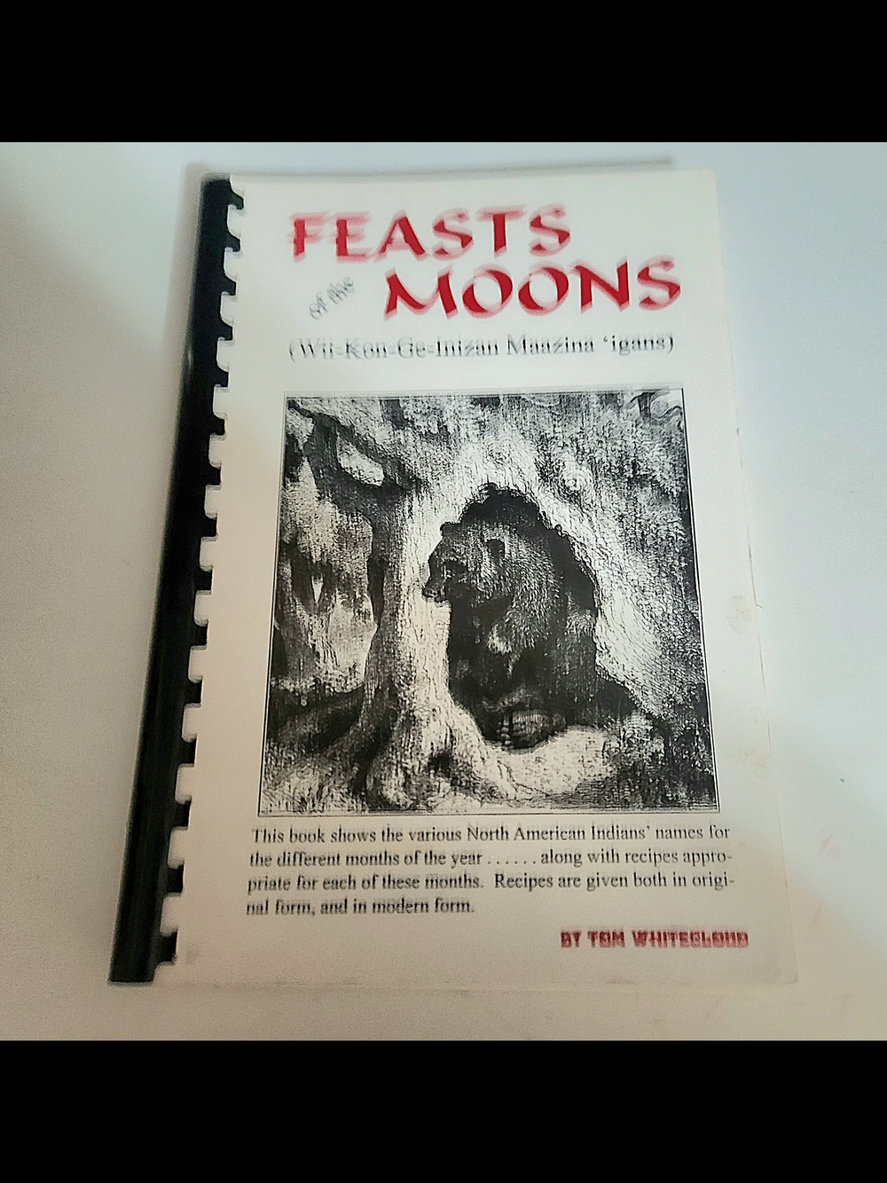 Feasts & Moons Cookbook Soft Cover Spiral Bound Illustrated Vtg